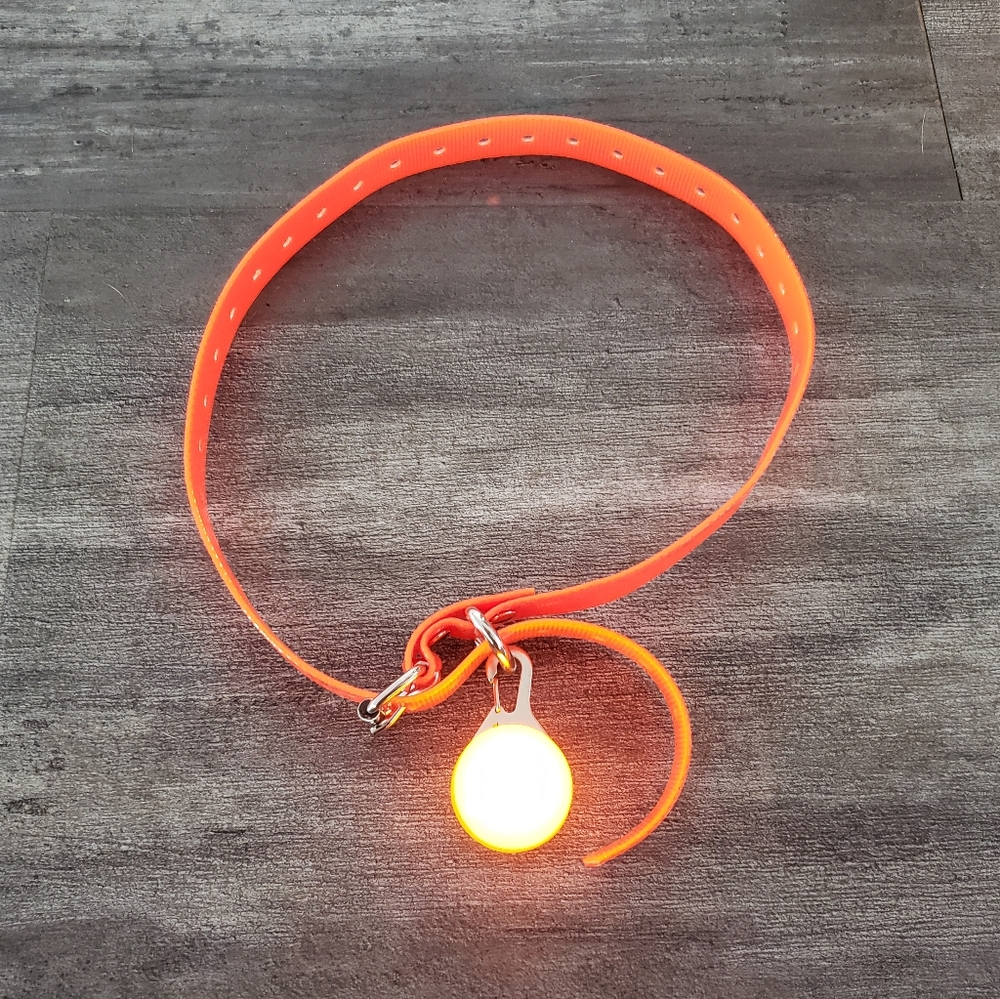 Orange Neon Night Running Dog Collar w/Light - Picture 1 of 3